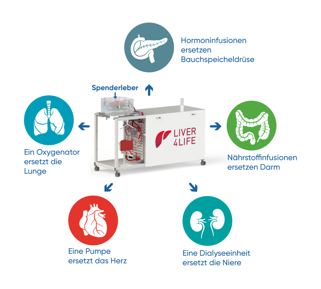 Die Perfusionsmaschine ersetzt die Funktion diverser Organe, um die Leber ausserhalb des Körpers am Leben zu halten