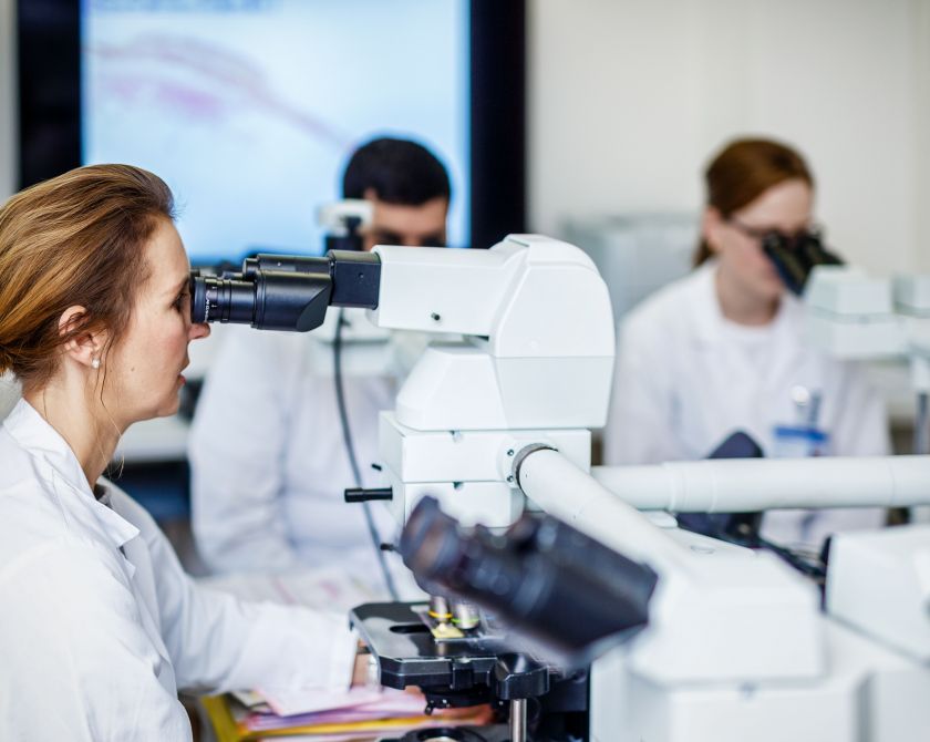 Mehrere Personen schauen durch verschiedene Mikroskope