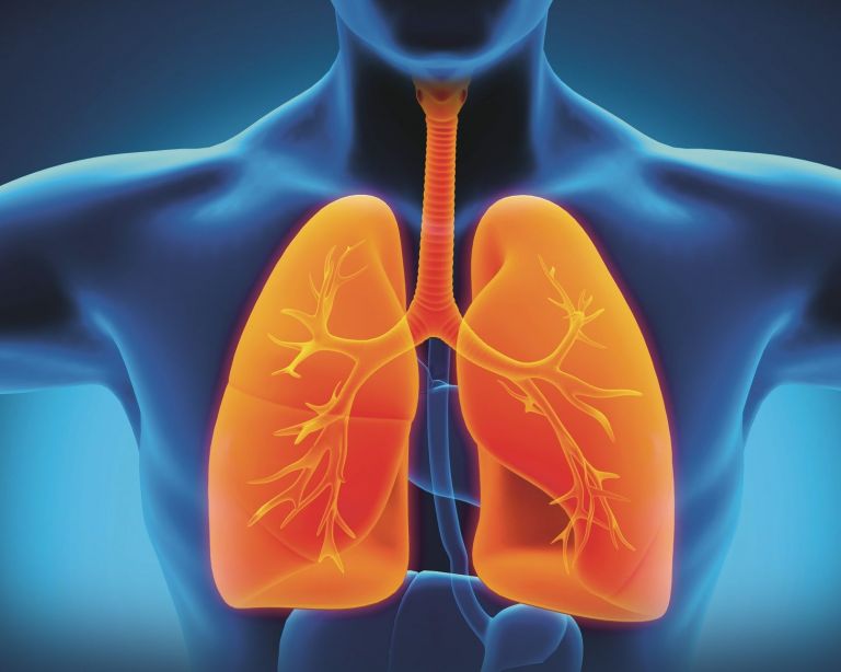 Illustration des Körperinneren mit Fokus auf die Lunge