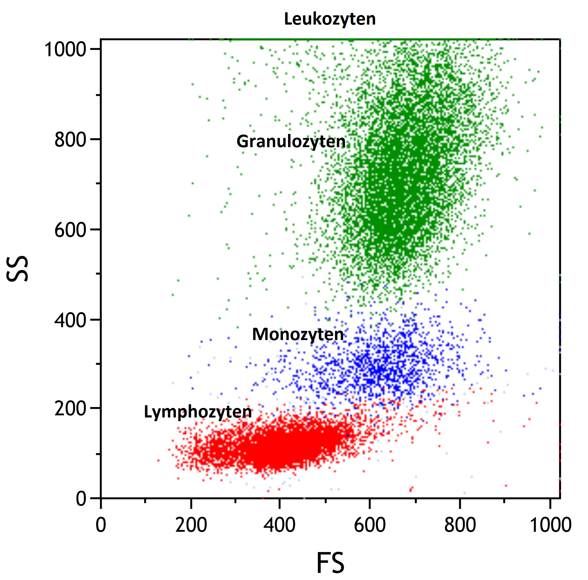 Diagramm verschiedener Leukozyten