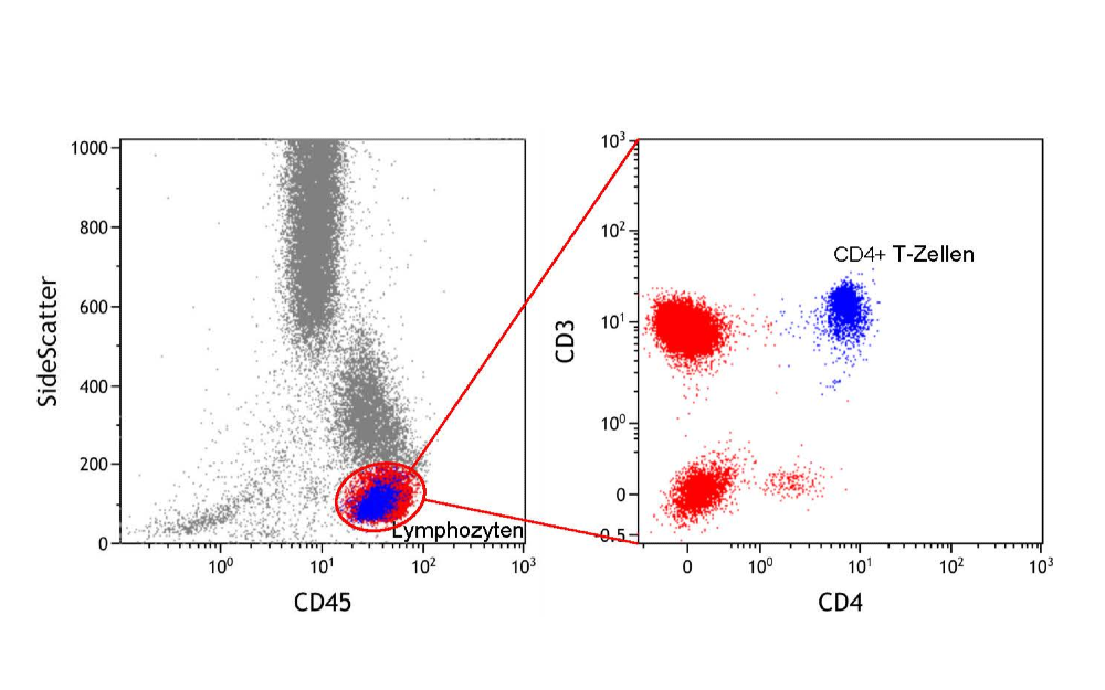 CD4 Lymphozyten Diagramme