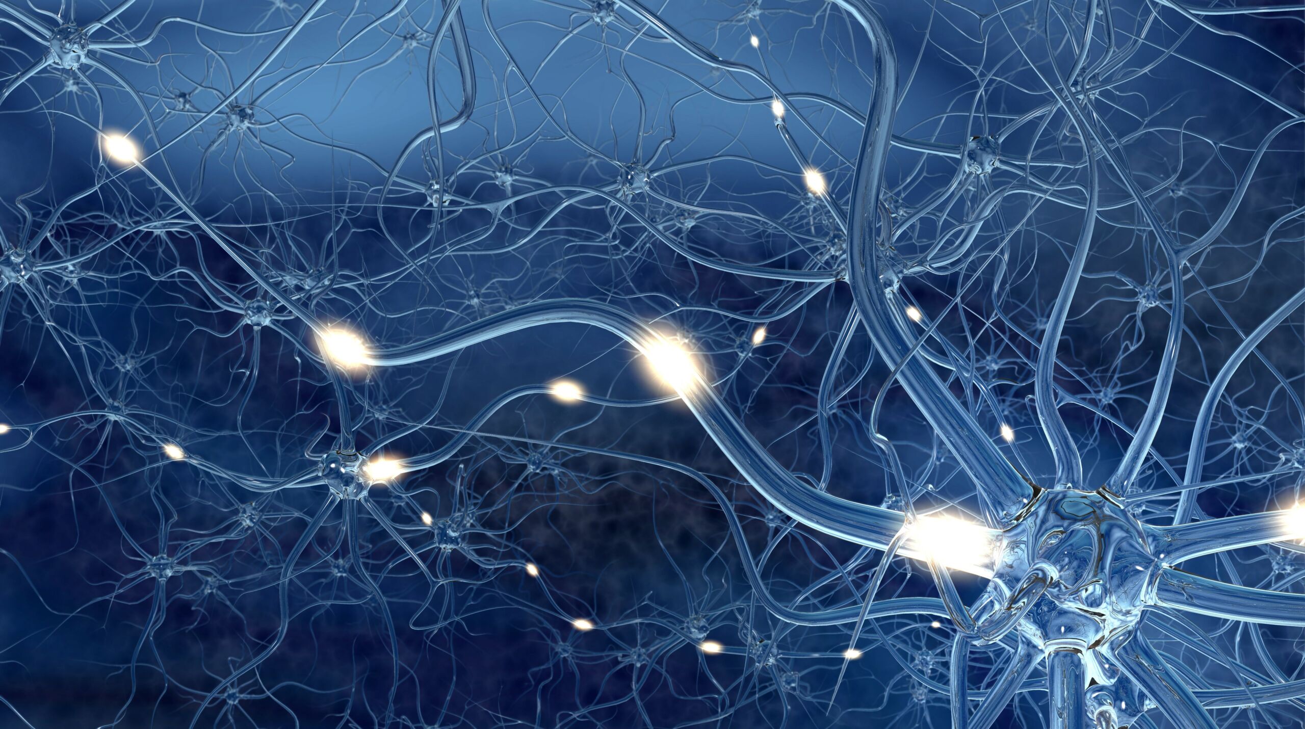 Illustration von Neuronen