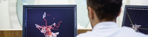Ein Arzt schaut sich auf einem Bildschirm ein 3D Bild an